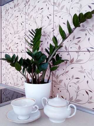 Апартаменты Apartments Marko Maros Котор Апартаменты с 1 спальней-6