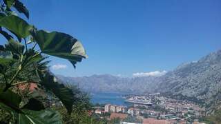 Апартаменты Apartments Marko Maros Котор Апартаменты-20